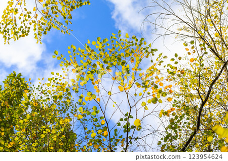 秋天的顏色 123954624