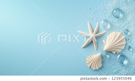 Arrangement of Seashells and Starfish on a Pastel Blue Background 123955046