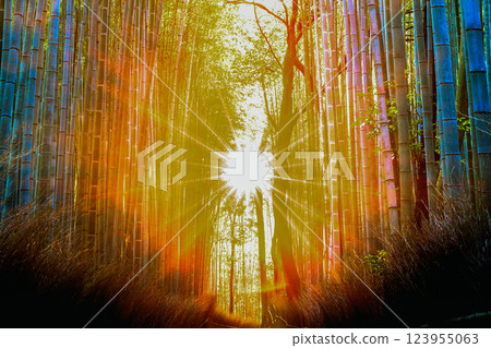 竹林日出 123955063