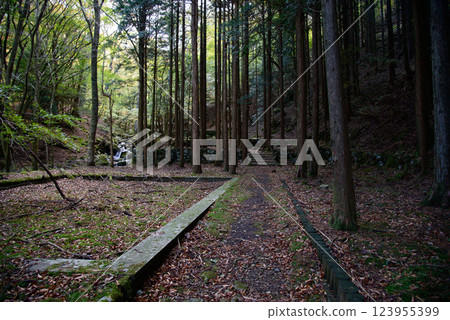 [靜岡縣] 天城冰室庭園遺跡 123955399