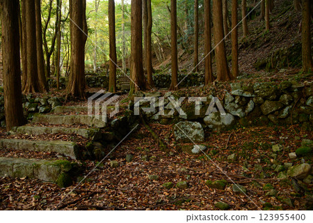 [靜岡縣] 天城冰室庭園遺跡 123955400