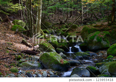 [Shizuoka Prefecture] Amagi, Himuro Garden, and nearby streams 123955418