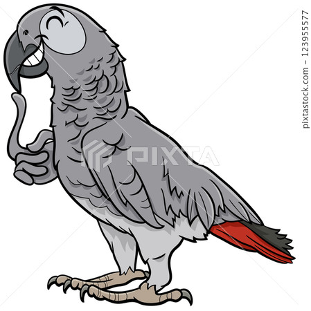 grey parrot bird animal character cartoon illustration 123955577