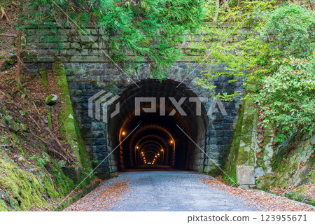 [靜岡]前天城隧道，川津側 123955671