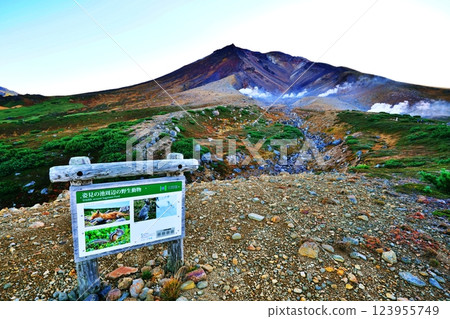 北海道大雪山旭岳姿見池週邊風景 北海道大雪山旭岳姿見池週邊風景 123955749