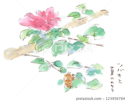 Watercolor illustration of camellia flowers and cicada shells 123956784