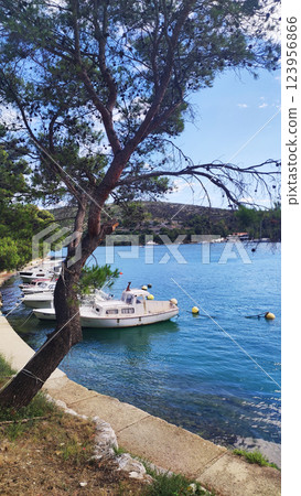 Calm waters of a coastal harbor are dotted with boats moored peacefully. Lush trees line the shore, creating a serene atmosphere under a clear blue sky in a vibrant landscape. 123956866