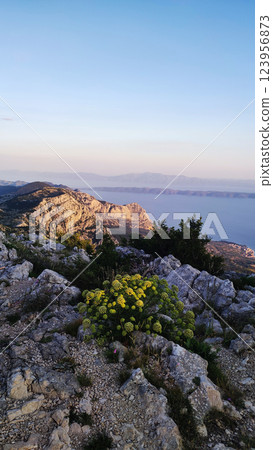 The sun sets over a rugged mountain range, illuminating vibrant wildflowers in the foreground. The coastline stretches into the distance, with serene waters reflecting the evening light. 123956873