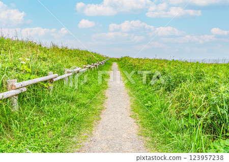 美麗草原上的碎石路,鮮綠色的樹葉(道路圖) 美麗草原上的碎石路,鮮綠色的樹葉(道路圖) 123957238