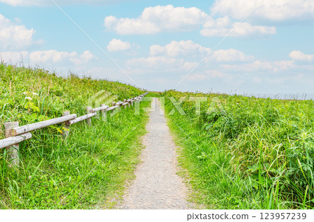 美麗草原上的碎石路,鮮綠色的樹葉(道路圖) 美麗草原上的碎石路,鮮綠色的樹葉(道路圖) 123957239