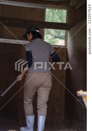 horse, female, females 123957624