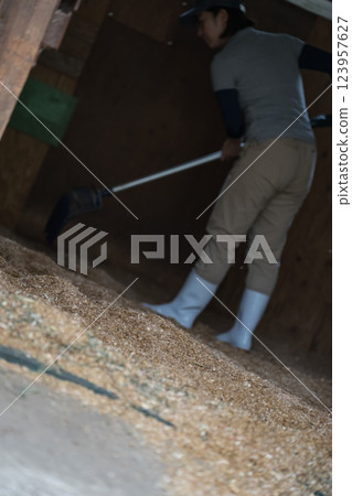 馬 馬兒 女生 123957627