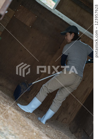 horse, female, females 123957628