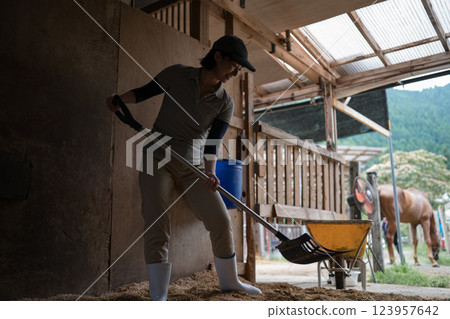 horse, female, females 123957642