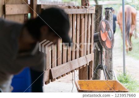 horse, female, females 123957660