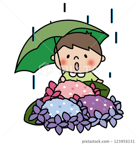 A boy holding an umbrella and gazing at hydrangeas on a rainy day 123958131