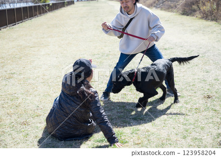 Let's train a large dog to walk (I'm just having a trained dog imitate) 123958204