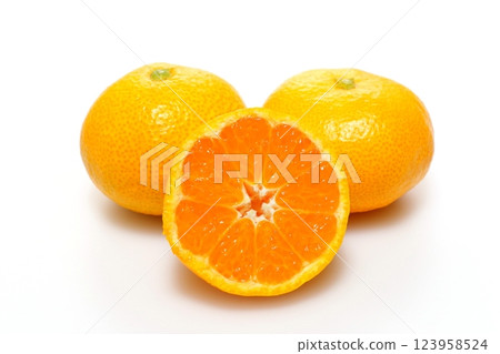 Mandarin orange  123958524