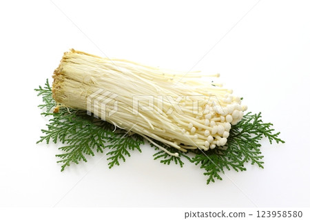 Enoki mushroom Enoki mushroom 123958580