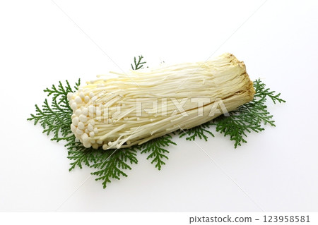 Enoki mushroom 123958581