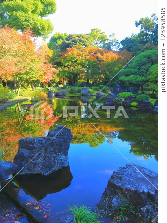 Autumn in the Gardens of the Shrine (Jonangu Shrine, Kyoto City, vertical composition) 123958585