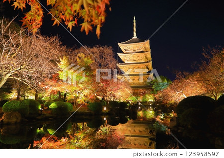 Toji Temple in autumn (Light up, Kyoto City) 123958597