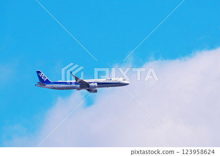 藍天白雲中飛行的客機 5 空中巴士 A321 藍天白雲中飛行的客機 5 空中巴士 A321 123958624