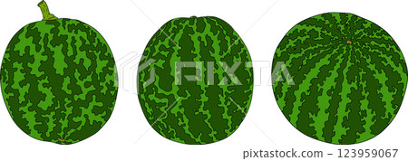Watermelon colored illustration set. Watermelon fruit vector set. Watermelon colored illustration set. Watermelon fruit vector set. 123959067