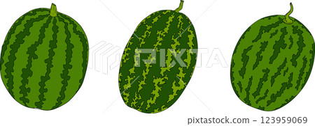 Watermelon colored illustration set. Watermelon fruit vector set. 123959069