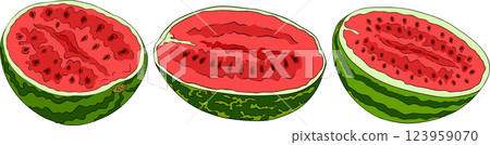 Watermelon colored illustration set. Watermelon fruit vector set. 123959070