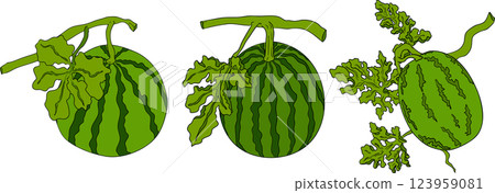 Watermelon colored illustration set. Watermelon fruit vector set. 123959081