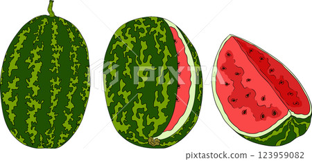 Watermelon colored illustration set. Watermelon fruit vector set. Watermelon colored illustration set. Watermelon fruit vector set. 123959082