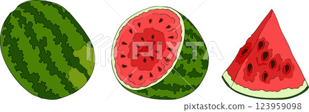 Watermelon colored illustration set. Watermelon fruit vector set. Watermelon colored illustration set. Watermelon fruit vector set. 123959098