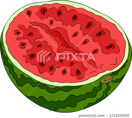 Watermelon colored illustration set. Watermelon fruit vector set. Watermelon colored illustration set. Watermelon fruit vector set. 123959099