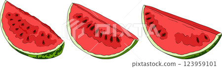 Watermelon colored illustration set. Watermelon fruit vector set. 123959101