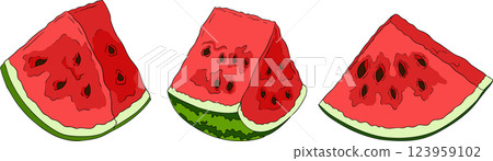 Watermelon colored illustration set. Watermelon fruit vector set. 123959102