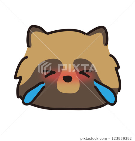 Crying raccoon face Crying raccoon face 123959392