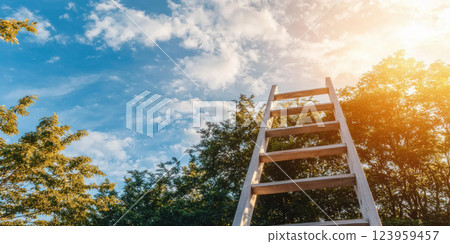 wooden ladder reaching towards bright sky and lush trees symbolizes dreams 123959457
