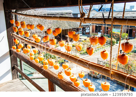 （山梨縣）舊高野家宅（甘草舍）屋簷下的柿子 123959793