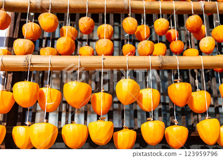 (Yamanashi Prefecture) Former Takano Family Residence (Licorice House) Persimmons under the eaves 123959796