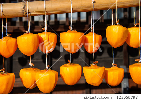 (Yamanashi Prefecture) Former Takano Family Residence (Licorice House) Persimmons under the eaves 123959798