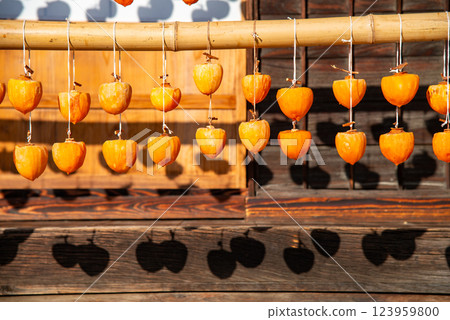 (Yamanashi Prefecture) Former Takano Family Residence (Licorice House) Persimmons under the eaves 123959800