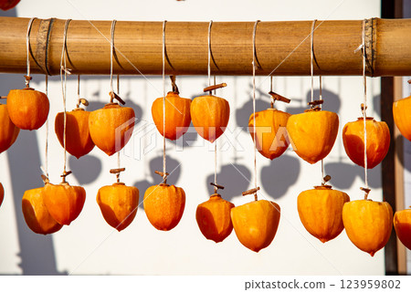 (Yamanashi Prefecture) Former Takano Family Residence (Licorice House) Persimmons under the eaves (Yamanashi Prefecture) Former Takano Family Residence (Licorice House) Persimmons under the eaves 123959802