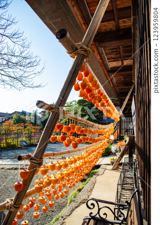 （山梨縣）舊高野家宅（甘草舍）屋簷下的柿子 123959804