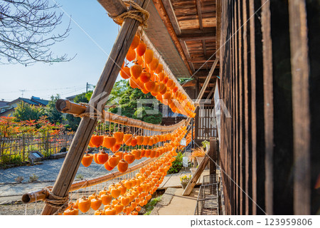 (Yamanashi Prefecture) Former Takano Family Residence (Licorice House) Persimmons under the eaves 123959806