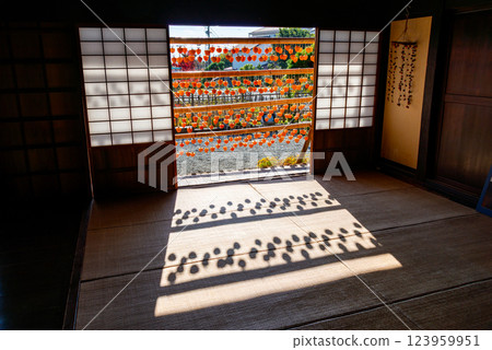 (Yamanashi Prefecture) Former Takano Family Residence (Kanso Yashiki) - Persimmons under the eaves seen from the living room (Yamanashi Prefecture) Former Takano Family Residence (Kanso Yashiki) - Persimmons under the eaves seen from the living room 123959951