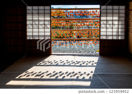 （山梨縣）舊高野家宅邸（觀總屋敷） 從客廳望去屋簷下的柿子 123959952