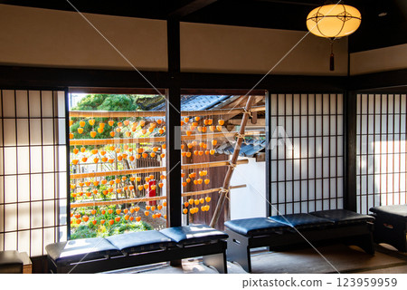 （山梨縣）舊高野家宅邸（觀總屋敷） 從客廳望去屋簷下的柿子 123959959