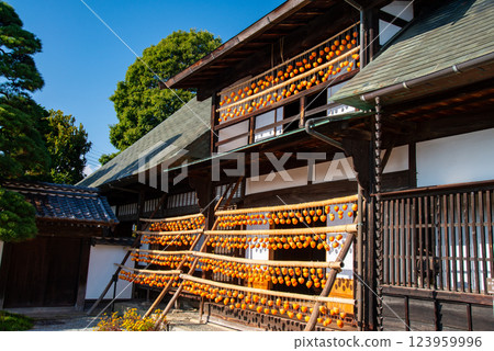 （山梨縣）舊高野家宅邸（觀總屋敷）從客廳望去屋簷上的柿子 123959996