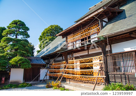 (Yamanashi Prefecture) Former Takano Family Residence (Kanso-yashiki) Persimmons on the eaves seen from the living room 123959997